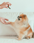 Gogoma Mighty Greens Superfood Dog Treats