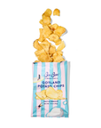 BonBon's Salt and Vinegar Potato Chips