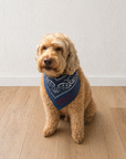 Denim Blue Chainstitch Bandana