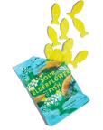 Sour Elderflower Fish - Swedish Candy 5.2oz (150g)