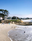 Places We Swim California