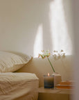 N˚06 Solstice Candle | Warm Heliotrope & Cedarwood