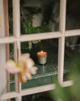 N˚05 Evergreen Candle | Fir Needle & Cypress