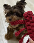 Lobster Rope Dog Toy (Small - 7")