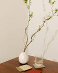 Bierfilzl Merino Wool Felt Square Coaster 4 Pack Ikebana