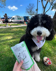 Gogoma Mighty Greens Superfood Dog Treats