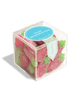 Sour Strawberries - Large