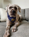Live Like Braun Dog Bandana