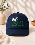 Custom Embroidery Plain Cotton Trucker Hat with Mesh Back