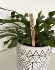 Punny Plant Stakes/ Funny Plant Markers