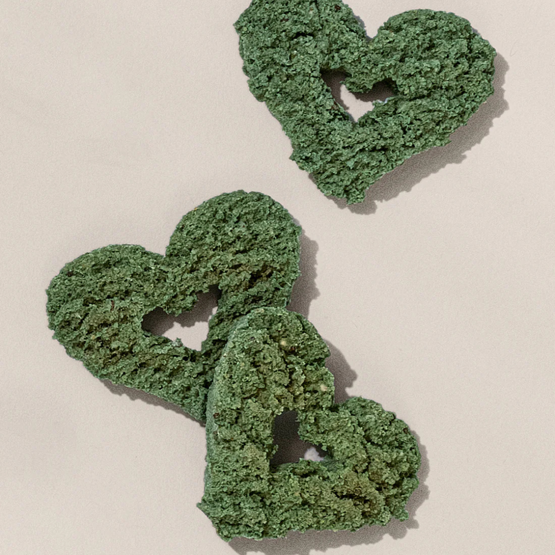 Gogoma Mighty Greens Superfood Dog Treats