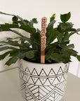 Punny Plant Stakes/ Funny Plant Markers