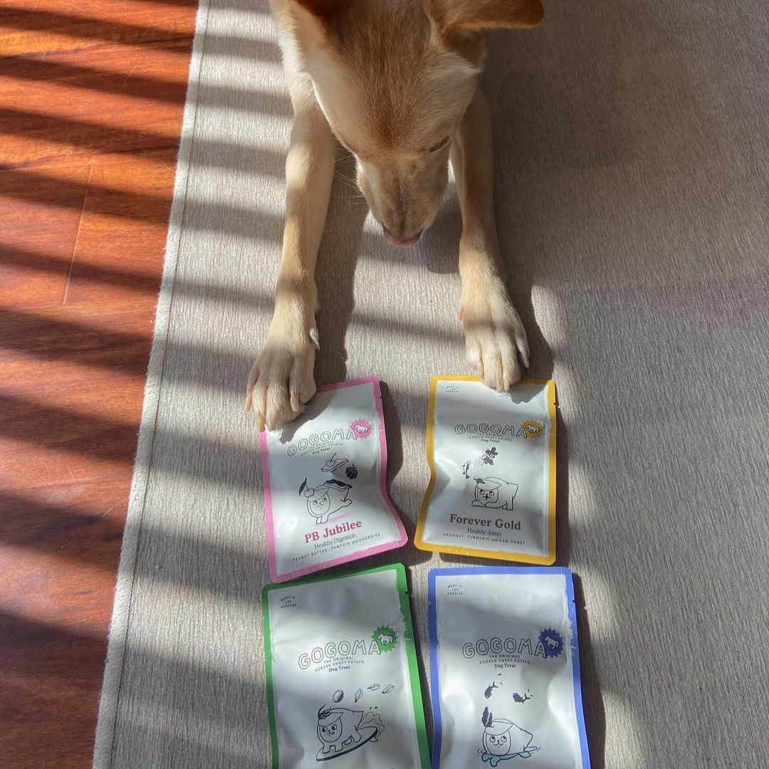 Gogoma PB Jubilee Superfood Dog Treats