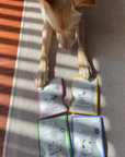 Gogoma PB Jubilee Superfood Dog Treats