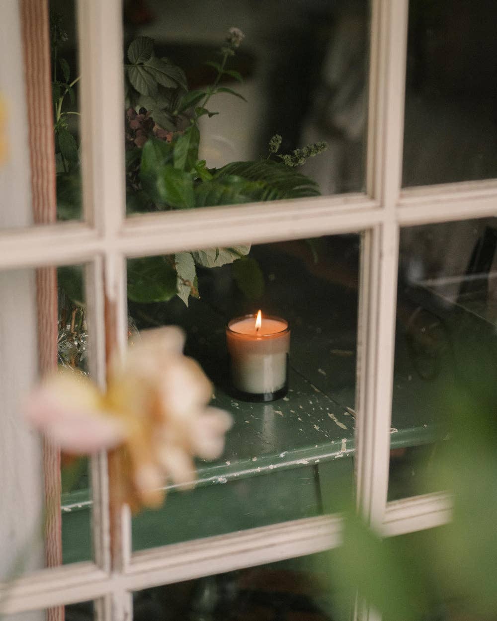 N˚05 Evergreen Candle | Fir Needle &amp; Cypress