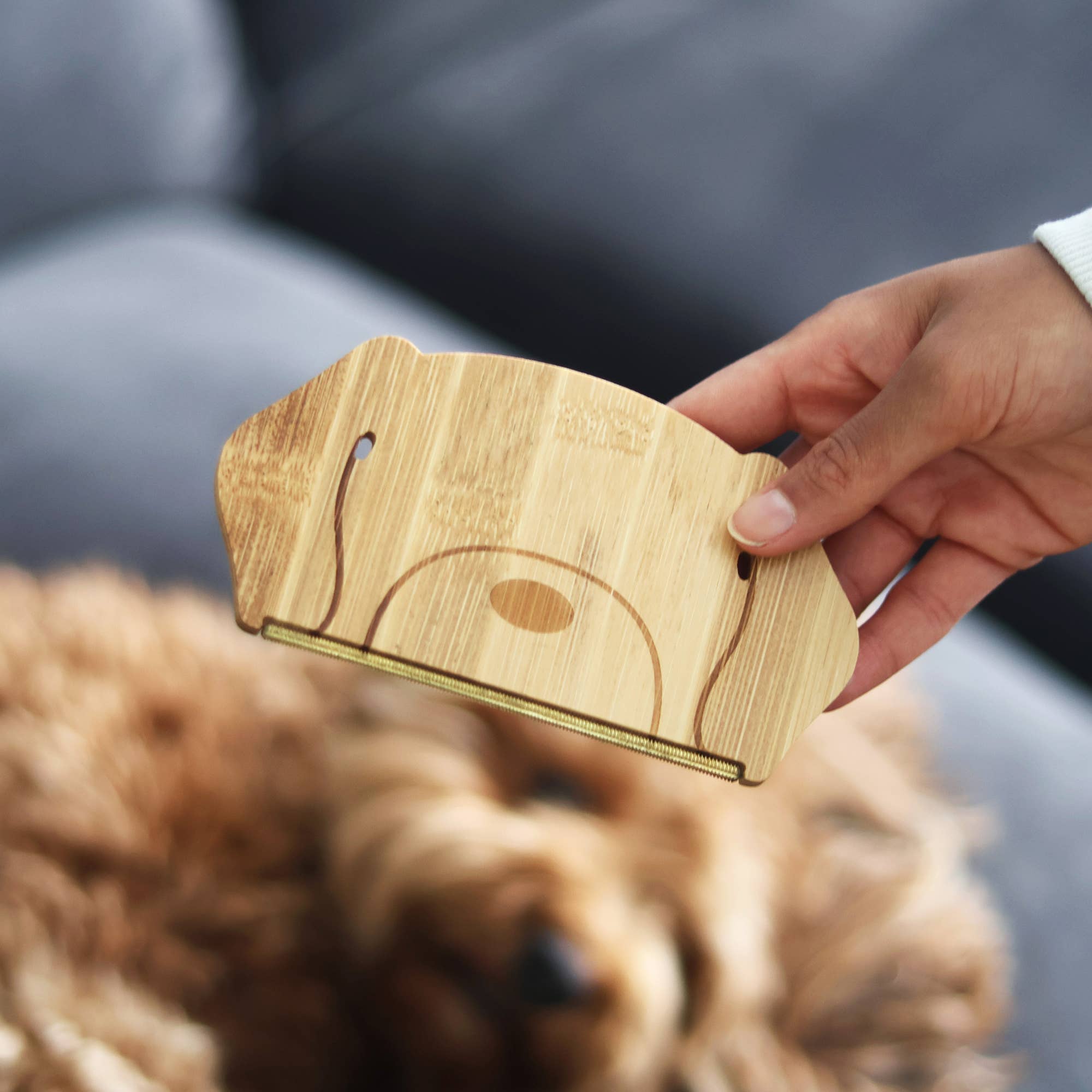 Dog Hair Remover | Reusable Pet Hair Remover