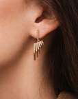 Fire & Ice Earrings
