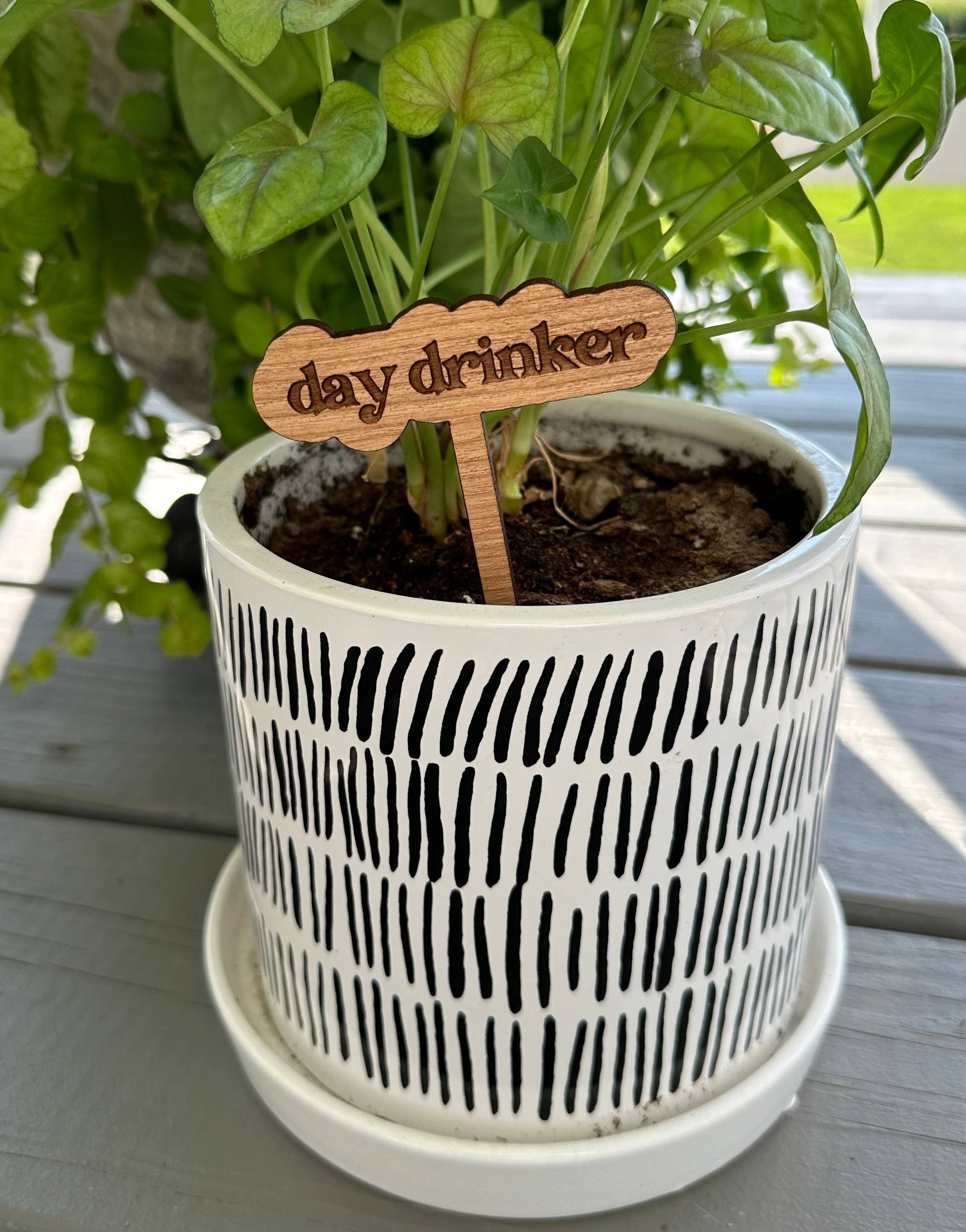New Plant Sayings Word Bubbles Funny Plant Stakes