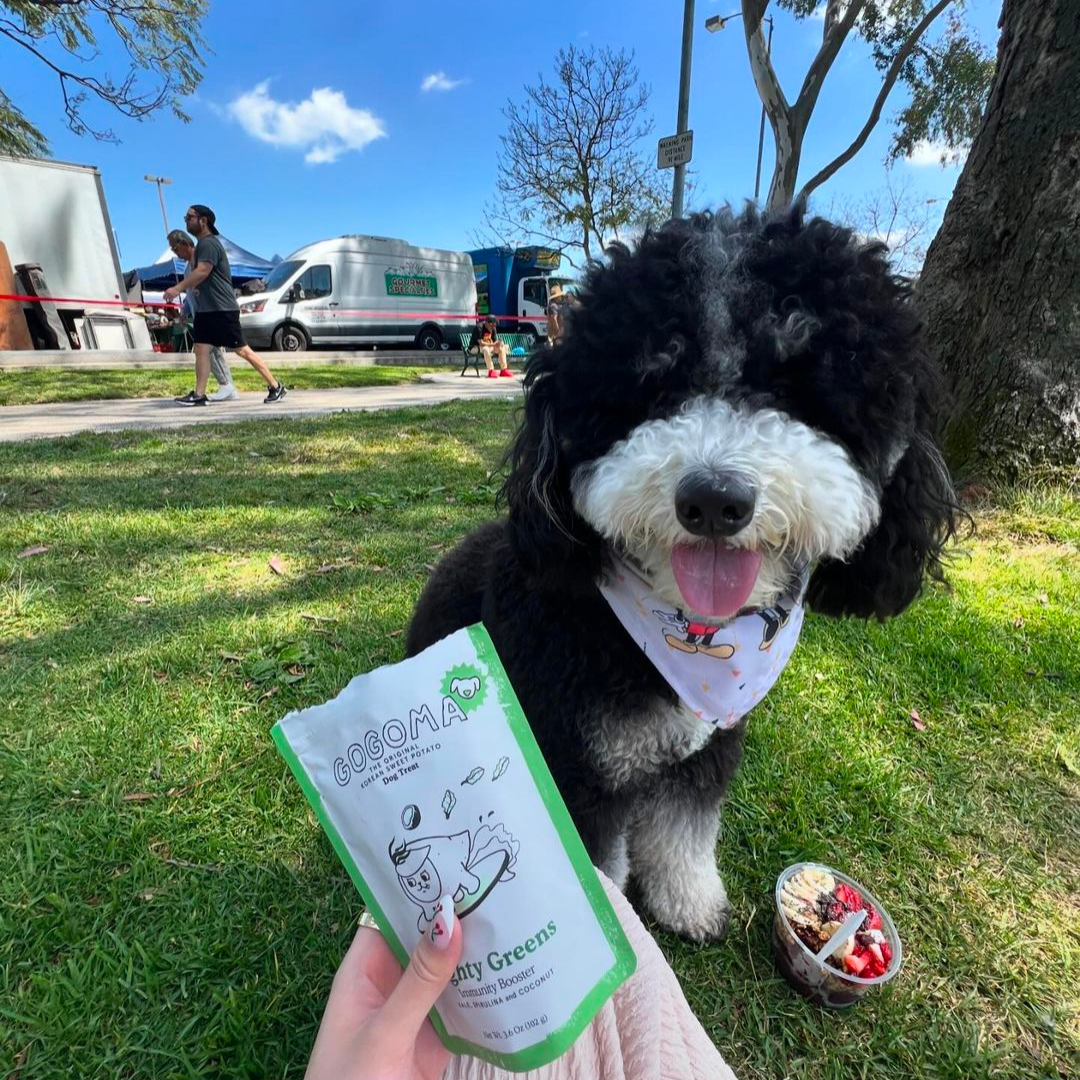 Gogoma Mighty Greens Superfood Dog Treats