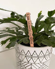 Punny Plant Stakes/ Funny Plant Markers
