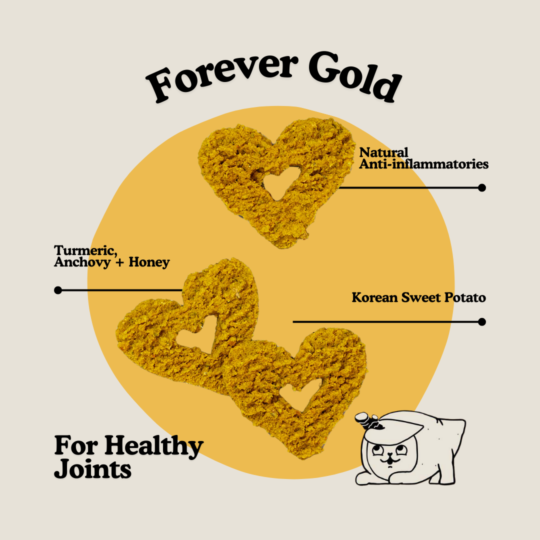 Gogoma Forever Gold Superfood Dog Treats