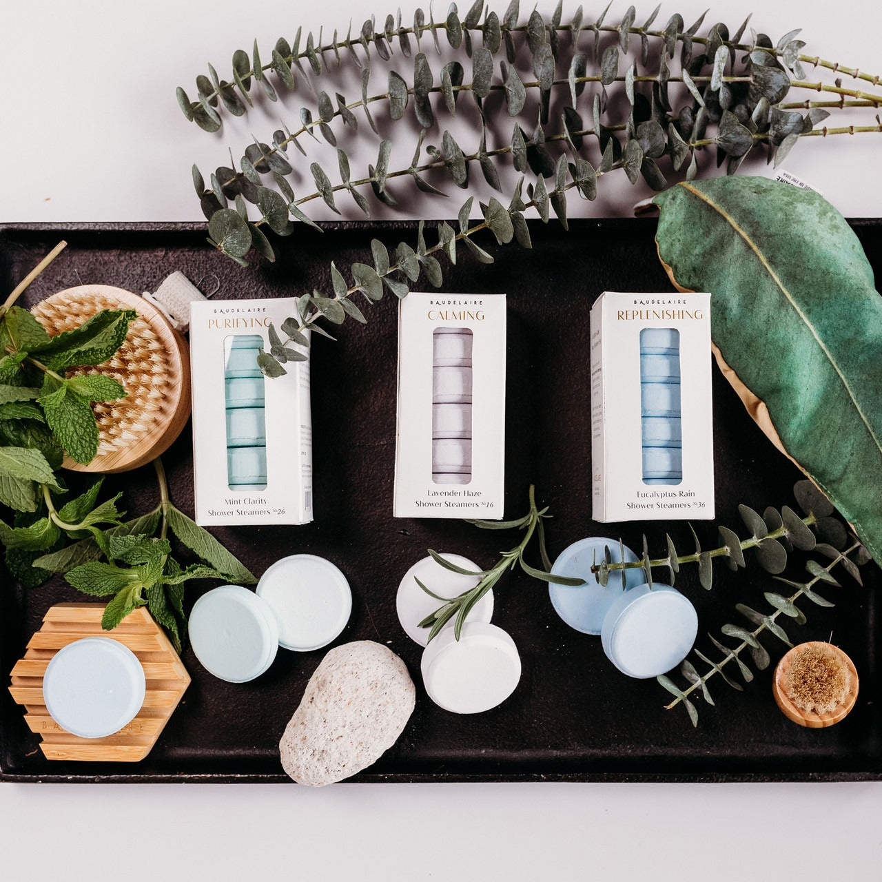 Baudelaire CALM – Lavender Haze Shower Steamers