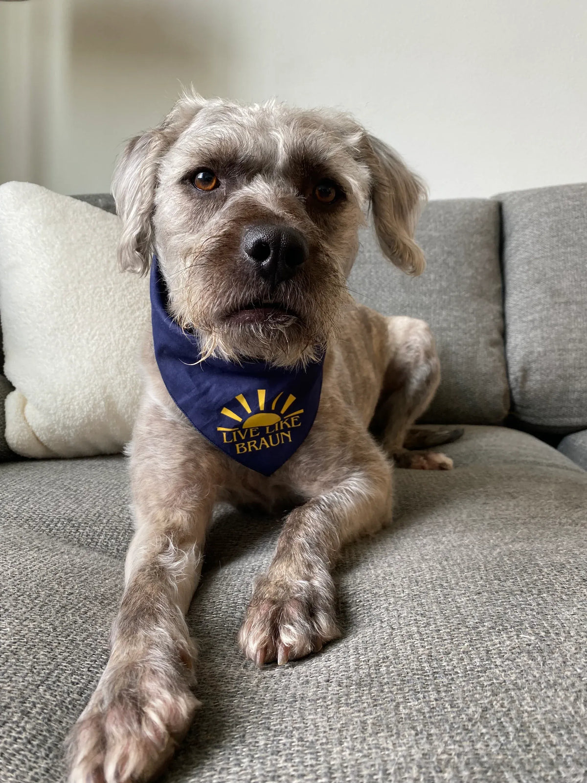 Live Like Braun Dog Bandana
