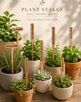 Plant Sayings Word Bubbles Funny Plant Stakes